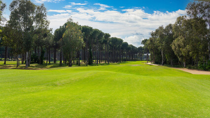 Fototapeta premium Panoramic view of beautiful golf course with pines on sunny day. Golf field with fairway, lake and pine-trees