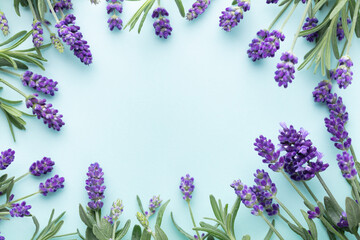 Lavender flowers on pastel background. Copy space. Top view, flat lay