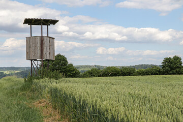 Hochsitz, Kanzel, Jagd, jagen, Feld, Wild, Nahrung, wildbret, tier, Acker, Anblick