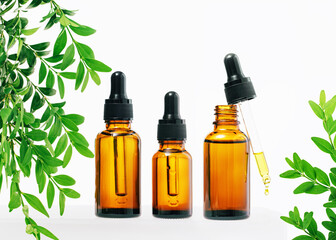 Natural medicine or aroma oil or beauty essence concept mockup three vials with dropper with droplet on glass stand with green plant and white background. Face and body spa serum care fresh concept