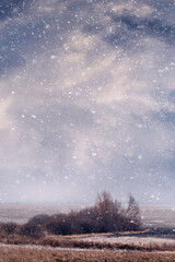 Autumn or winter landscape with trees in the field during a snowfall with a cloudy cloudy sky