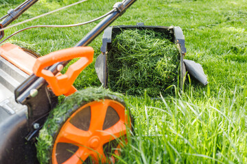 Closeup photo of lawn mower or grass cutter mowing fresh green grass in garden in sunny day....