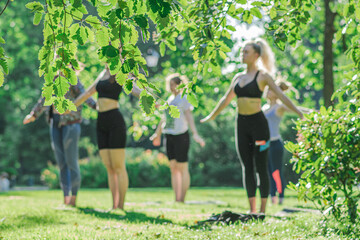 Girls making outdoor or outside activity, yoga or gym on the grass in a public park in summer with green leaves on foreground