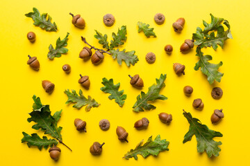 Branch with green oak tree leaves and acorns on colored background, close up top view © sosiukin