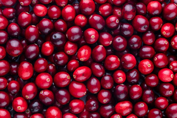Cranberry bio background, food background.