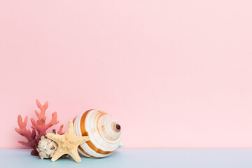 Beach seashells on colored background. Mock up with copy space