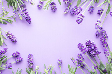 Flowers composition, frame made of lavender flowers on pastel background.