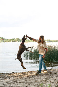 Man Training Jumping Kurzhaar Dog Catching Stick