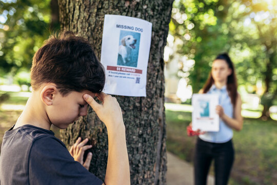 Children are looking for a missing dog, putting up posters.