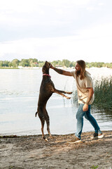 Man train jump Kurzhaar dog catch stick on coast
