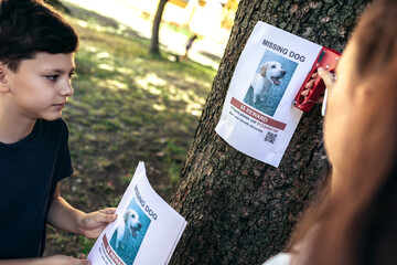 Children are looking for a missing dog, putting up posters.