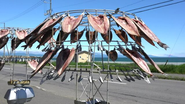 Hokkaido,Japan - June 21, 2022: Dried Atka mackerel on revolving fish dry machine
