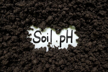 Soil pH agriculture concept. Written word on piece of paper on soil.