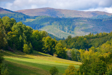 mountain landscape in early autumn. trees on the grassy hill in dappled light. ridge in the...