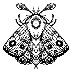 Fototapeta premium Line drawing of butterfly for stickers, tattoos and designs