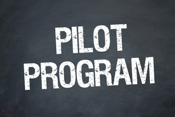 Fototapeta premium Pilot Program