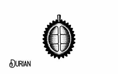 Vintage hand drawn durian