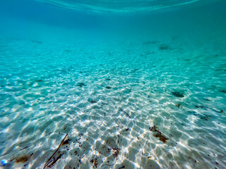 Underwater view of crystal clear blue waters