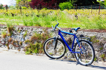 Fototapeta na wymiar Mountain bicycle on a country road near stone wall background of the vineyards.