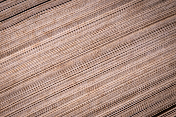 lines texture background closeup macro