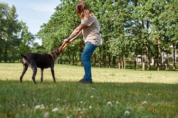 Man training dog with rubber ring on green lawn