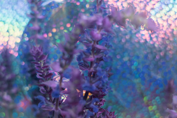 Fototapeta na wymiar Kolorowe abstrakcyjne tło w chłodnych kolorach, delikatne kwiatki i piękny błyszczący bokeh.