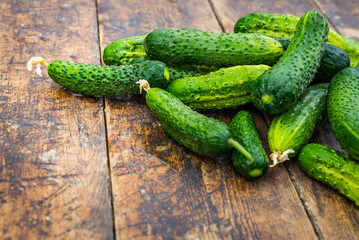 Fresh cucumber on rustic wooden background. Cucumbers are low in calories but high in many important vitamins and minerals  lose weight. leaves and flower