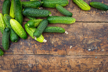 Fresh cucumber on rustic wooden background. Cucumbers are low in calories but high in many important vitamins and minerals  lose weight. leaves and flower