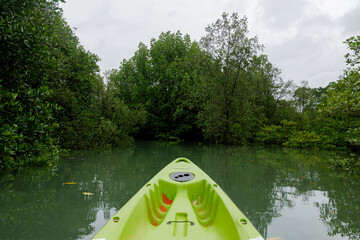 Selective focus at bow of canoe or kayak paddle and flow among mangrove forest during cloudy day.
