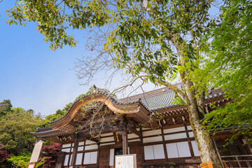 深大寺　新緑 　浮岳山昌楽院　厄除元三大師