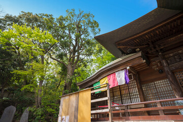 深大寺　新緑 　浮岳山昌楽院　厄除元三大師