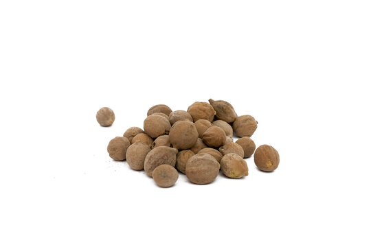 medicinal bahera or Terminalia bellericais fruits on white background 