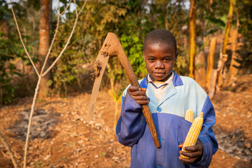 A young farmer child with a hoe in his hand and a cob of corn, African children and work in the fields. - obrazy, fototapety, plakaty