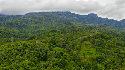Mountains and green hills in Sri Lanka. Slopes of mountains with evergreen vegetation.