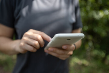 Hands using mobile phone  in summer forest