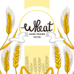 Wheat harvest in hand drawn style with lettering for bakery shop design on white background, grain products, food banner