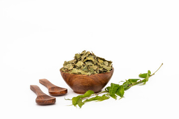 Ayurvedic neem or azadirachta indica or ayurveda dry green leaves isolated on white background