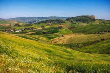 Fototapeta na wymiar sicilian spring countryside hill landscape