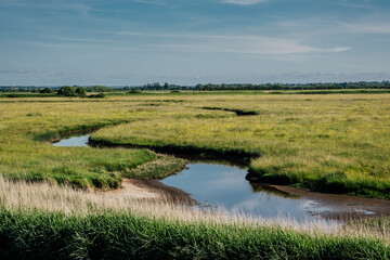 Fototapeta na wymiar Beautiful landscape of marsh in Normandy in France