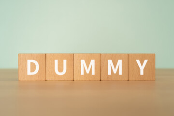 ダミーのイメージ｜「DUMMY」と書かれたブロック