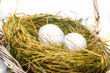 2 eggs standing on pile of hay inside a wooden basket, looks fresh