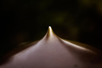 擬宝珠　日本のカタチ　和風の橋　リラックス　瞑想
永遠　形　和風　神聖　愛らしい　