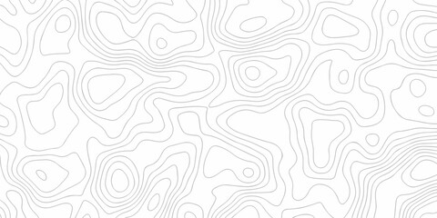 Topographic background and texture, monochrome image. Cartography Background, White wave paper curved reliefs abstract background