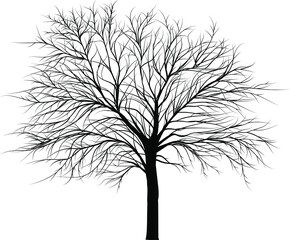 Vector tree icon on isolated white background.