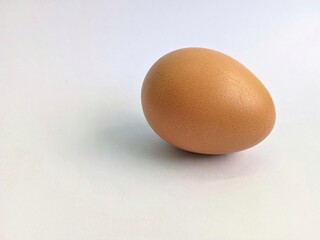 an egg isolated on a white background