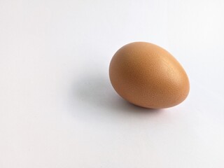 an egg isolated on a white background