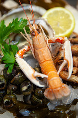 Plateau de fruits de mer.