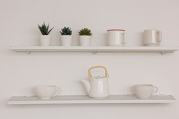 Fototapeta na wymiar two shelves on the white wall and green plant in pot
