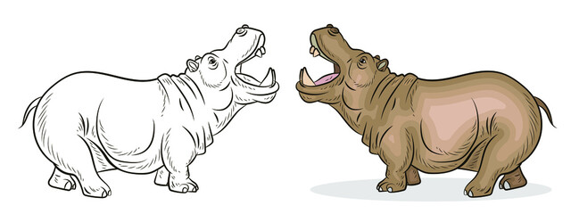 Fototapeta premium In the animal world. An image of an African hippo. Black-and-white and color drawing, coloring. Vector drawing.