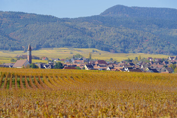 Fototapeta na wymiar Bennwihr village on the Wine Route in autumn, Grand Est, France